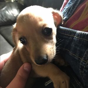 Meet your Posher, Linda